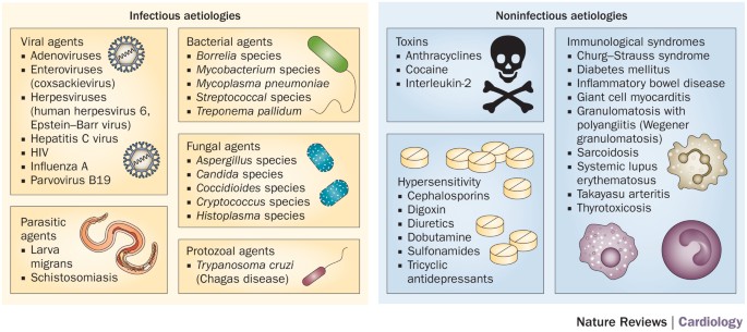Infection Intrusions: Exploring The Infection Risks Of Steroid Abuse